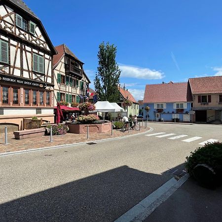 Gite A L'Aigle De Sable Kintzheim Extérieur photo